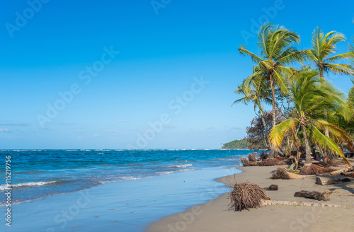 Paradise wild beach of Manzanillo Park in Costa Rica photo