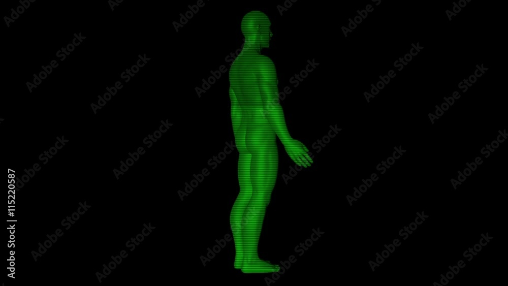 Male Human 3D Wireframe Hologram in Motion. Nice 3D Rendering
Male Human 3D Wireframe Hologram in Motion. Nice 3D Rendering