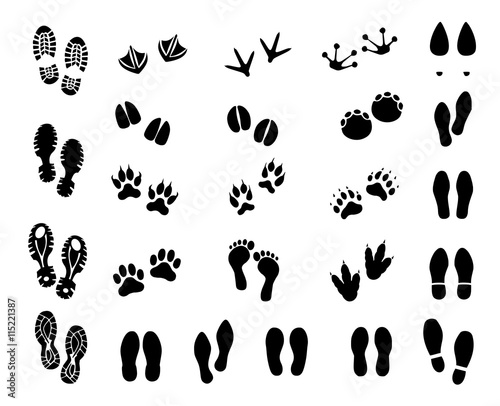 Footprint set vector