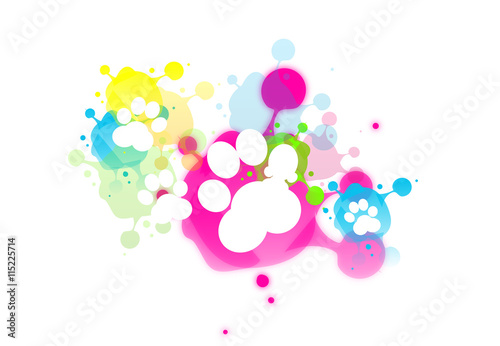 Colorful splash with white paws
