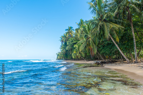 Fototapeta Naklejka Na Ścianę i Meble -  Paradise wild beach of Manzanillo Park in Costa Rica