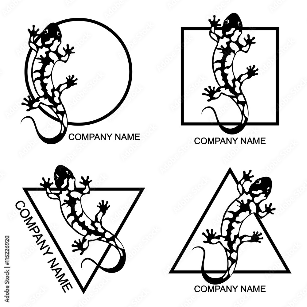 Naklejka premium Set of salamander logo