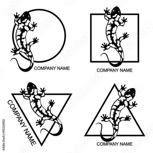 Set of salamander logo