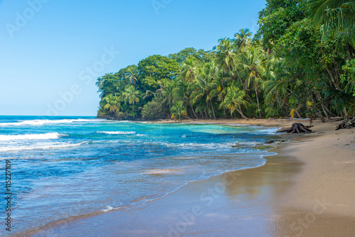 Fototapeta Naklejka Na Ścianę i Meble -  Paradise wild beach of Manzanillo Park in Costa Rica