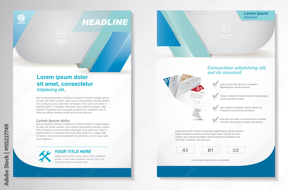 Vector Brochure Flyer design Layout template, size A4, Front page and back page, infographics. Easy to use and edit.