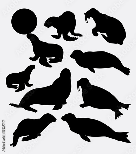 walrus and seals silhouette. Good use for symbol  logo  web icon  mascot  sticker  element or any design you want.