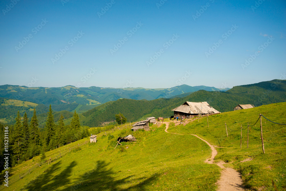 Carpathian's landscape