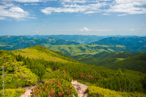 Carpathian's landscape