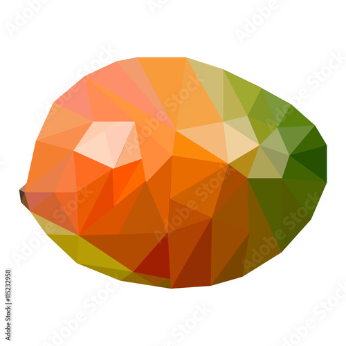 painted mango geometric polygons