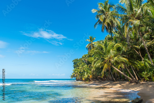 Paradise wild beach of Manzanillo Park in Costa Rica © Simon Dannhauer