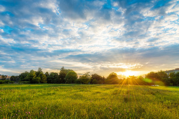 Sierkussen Geel Kleurrijke avondzon boven landelijke weide  © cristianbalate