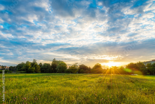 Beautiful sunset landscape over a meadow in evening - colorful sunlight wallpaper © cristianbalate