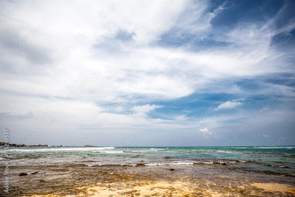 Palm tropical beach. Landscape rocky coast ocean.