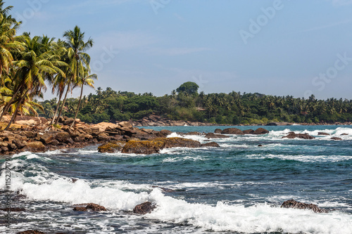 Palm tropical beach. Landscape rocky coast ocean.