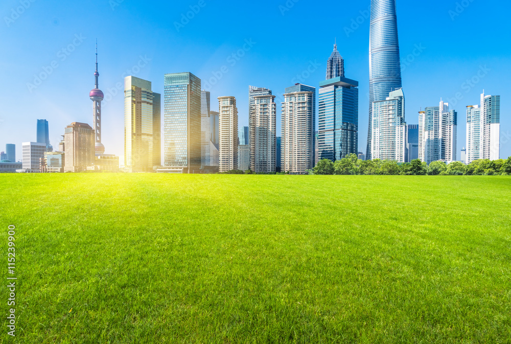 Obraz premium central park in the downtown district,china