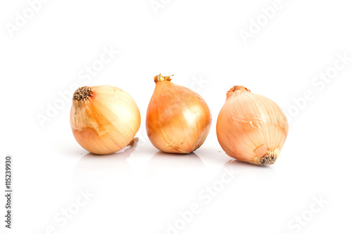 onion. isolate on white background