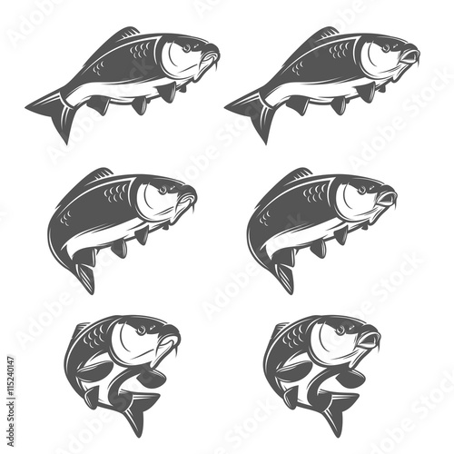 Set of vintage carp fish in various swimming positions. Opened and closed mouth. Single color, negative space illustration photo
