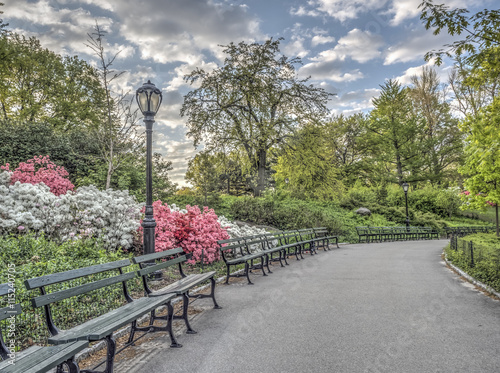 Fototapete Central Park, New York City Azaleas