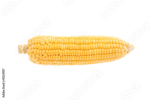 corn cob isolated on white background with.