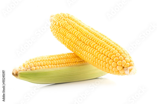 corn cob isolated on white background with. with green leaves