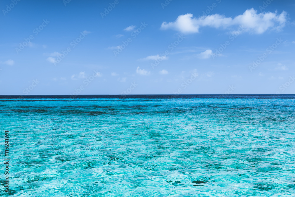 Panorama of tropical lagoon on the island in Indian Ocean. Panorama of tropical lagoon on the island in Indian Ocean.