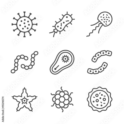 Set line icons of microbe and bacterium © motorama