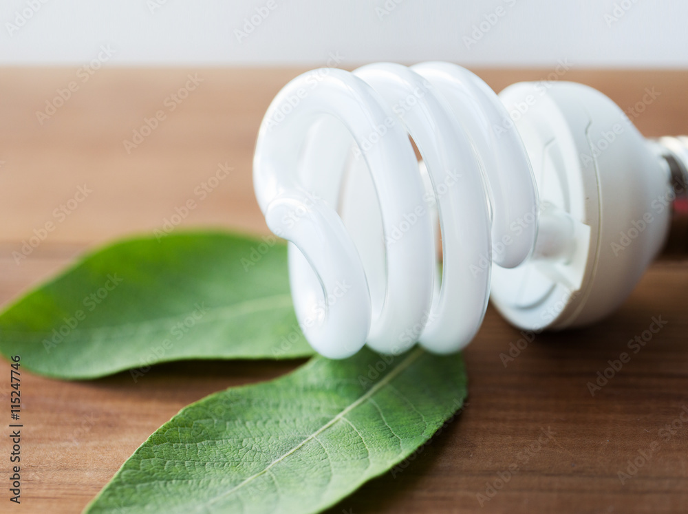 close up of energy saving lightbulb and green leaf close up of energy saving lightbulb and green leaf