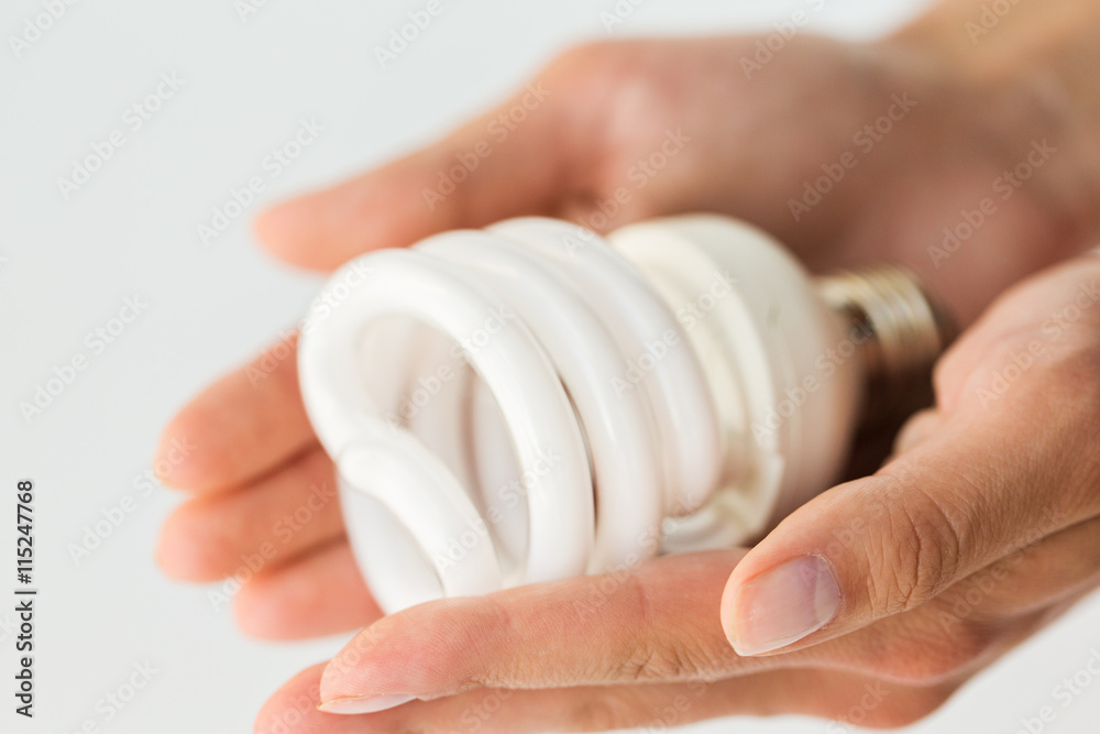 close up of hands holding energy saving lightbulb close up of hands holding energy saving lightbulb