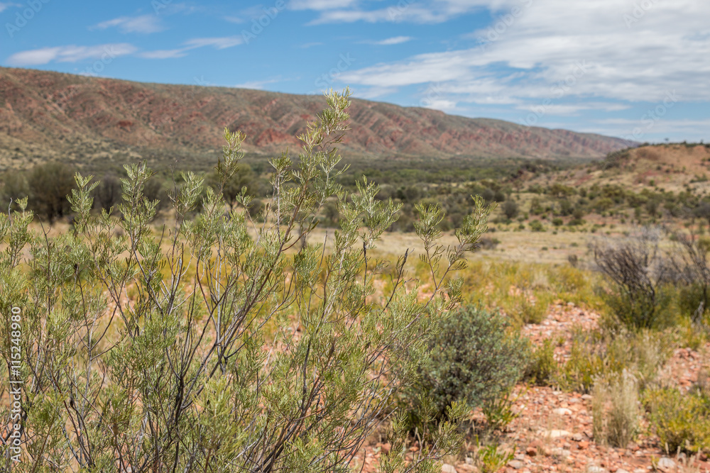 Outback landscape, East Macdonnell Ranges, Northern Territory, Australia