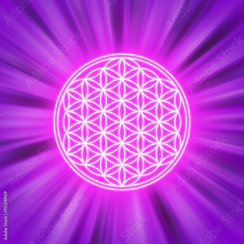 Bright Flower of Life on pink light rays. Spiritual symbol and Sacred Geometry since ancient times. Illustration.