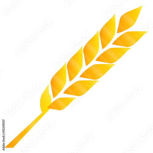 Goldener Weizen Glänzend