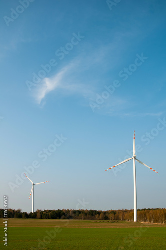 Wallpaper Mural Wind turbines on the field Torontodigital.ca