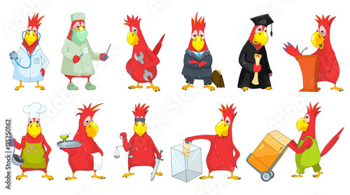 Vector set of funny parrots illustrations.