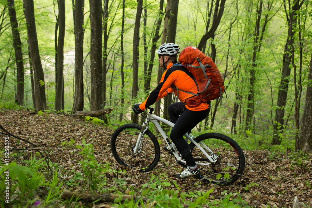 Fototapeta premium Biker on the forest road