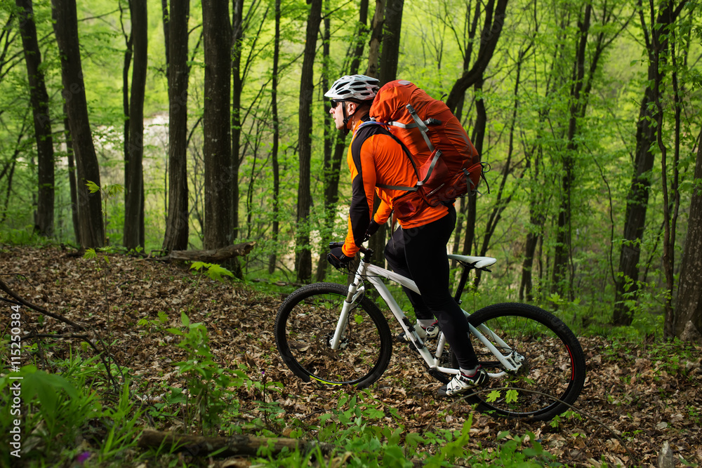 Fototapeta premium Biker on the forest road
