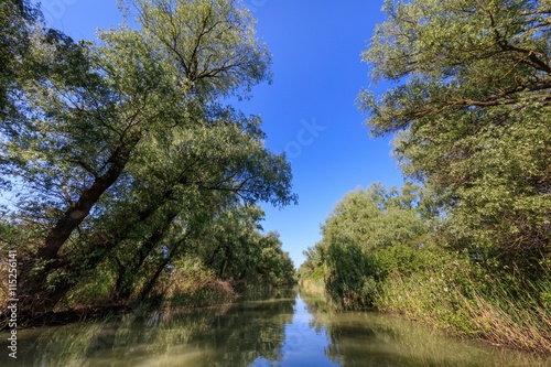 Danube Delta  Romania