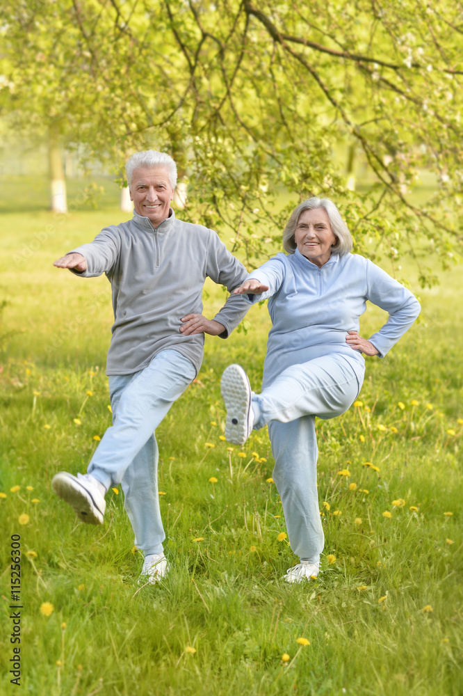 fit senior couple exercising