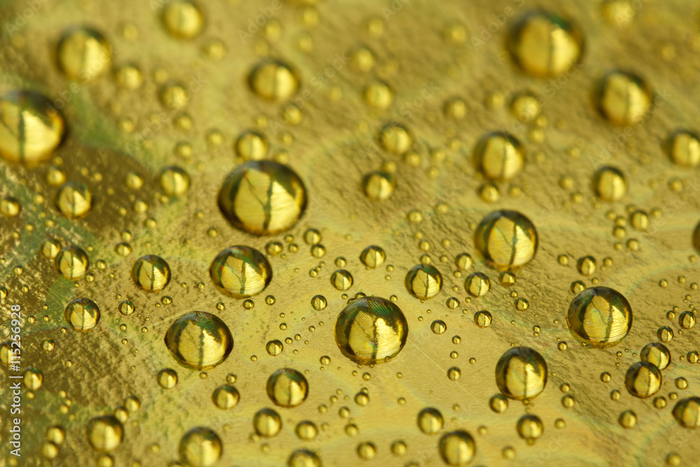 Drops on a gold background , shallow depth of field Drops on a gold background , shallow depth of field