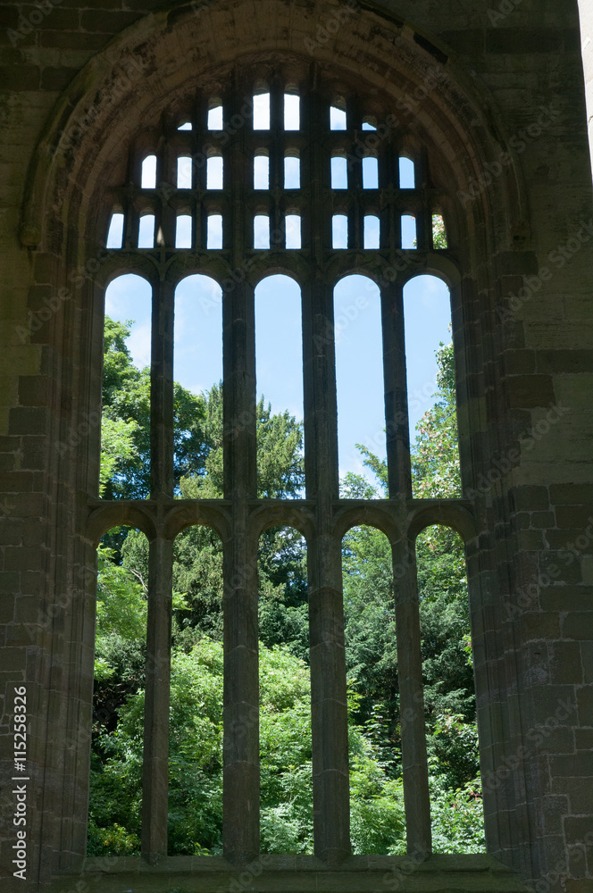 Window in ruined abbey
