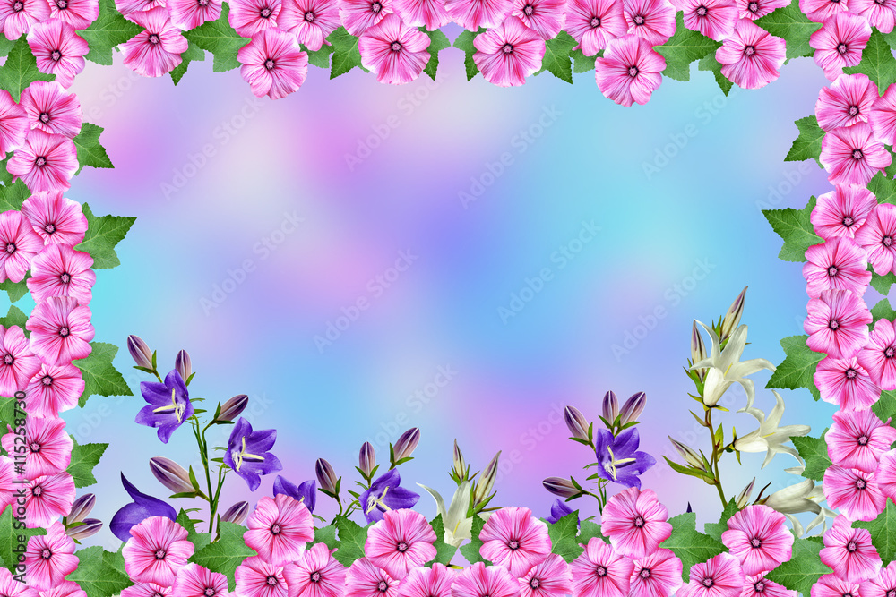Summer landscape. Frame of beautiful colorful flowers of petunia