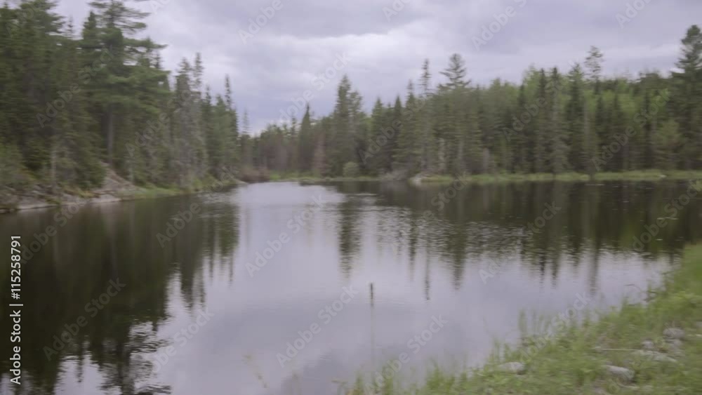Lake wilderness in ontario pine forest Lake wilderness in ontario pine forest