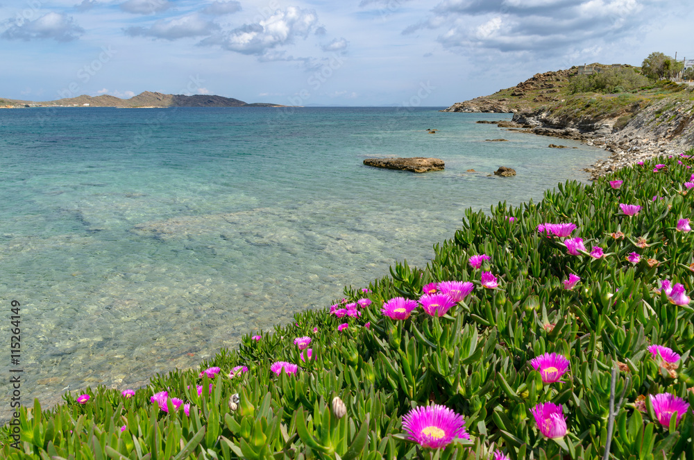 A view of beautiful bay with turquoise sea water and spring flowers, Paros island, Greece