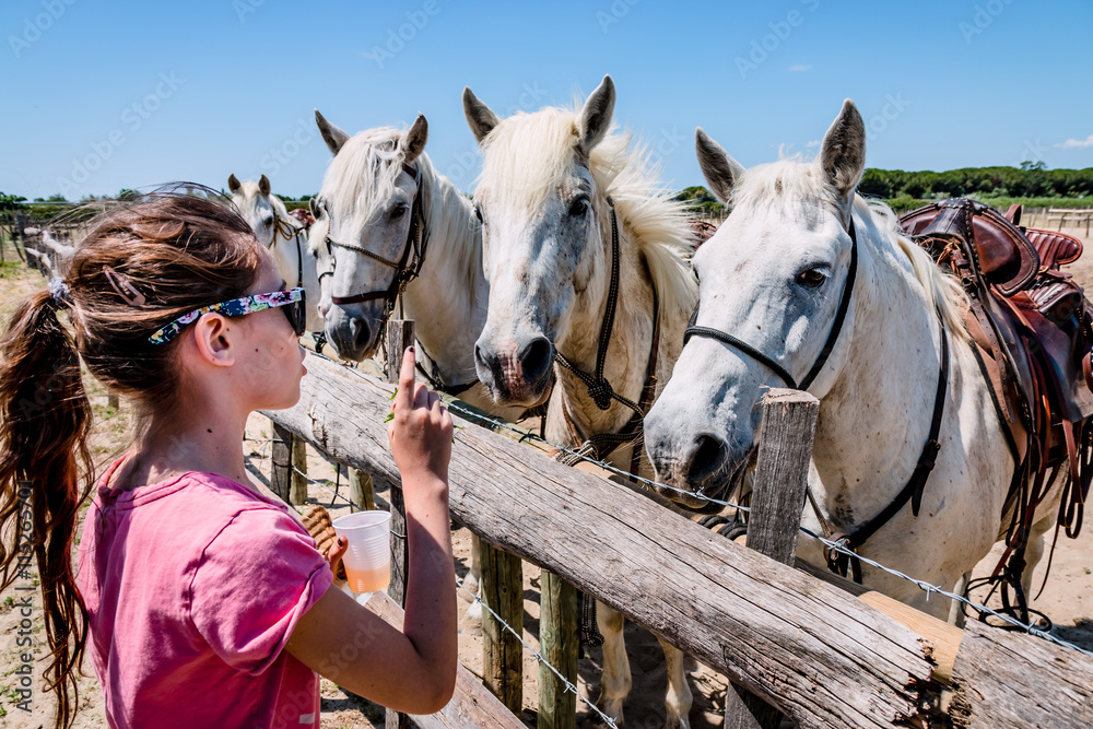 Obraz premium Fillette et chevaux blancs camarguais