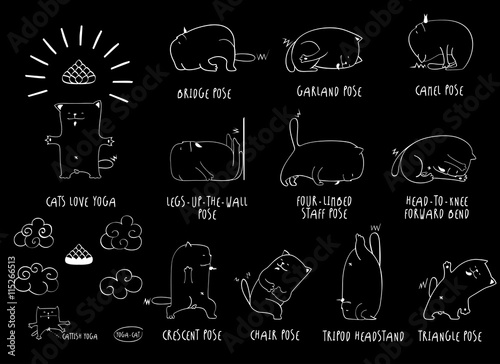 Yoga Cat set