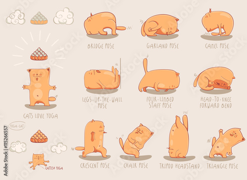 Red Yoga Cat set