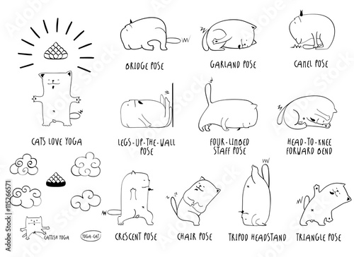 Yoga Cat line set