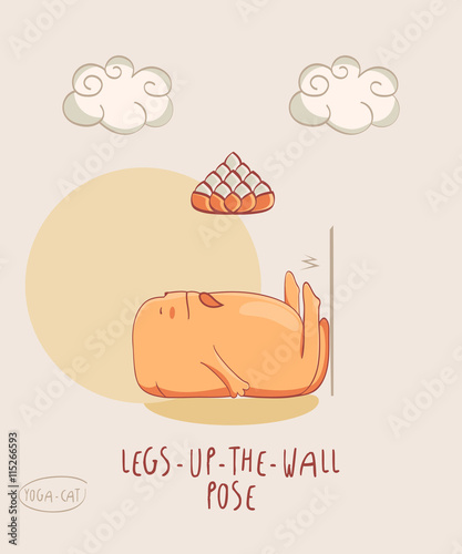 Red Yoga Cat in Legs Up The Wall Pose