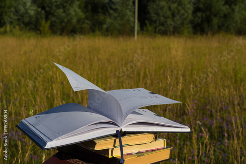 Opened notebook is on the stack of books in the field  wind turns pages