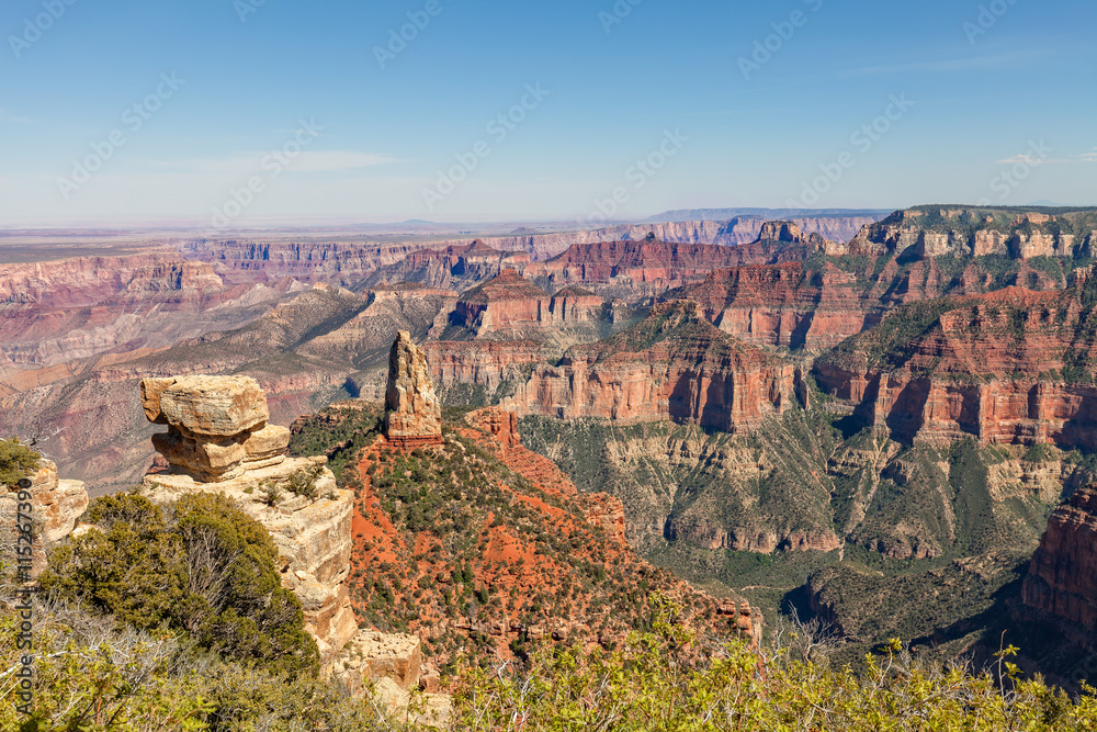 Grand Canyon North Rim Landscape Grand Canyon North Rim Landscape