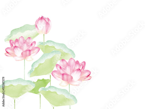 Fototapeta Naklejka Na Ścianę i Meble -  Lotus border. Hand drawn watercolor oriental nature illustration. Artistic lily flowers and leaves